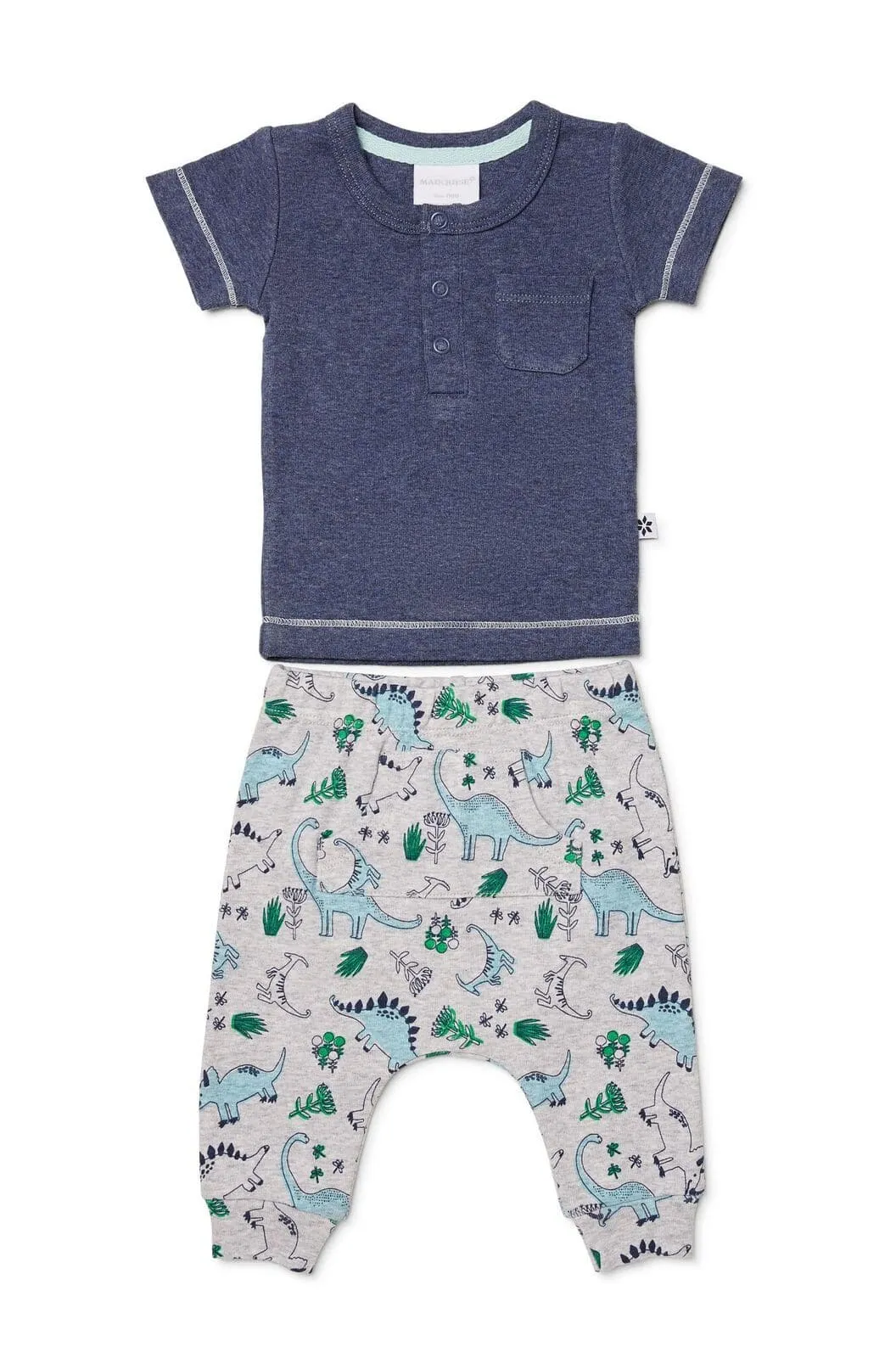 Dinosaur Tee & Pants Set