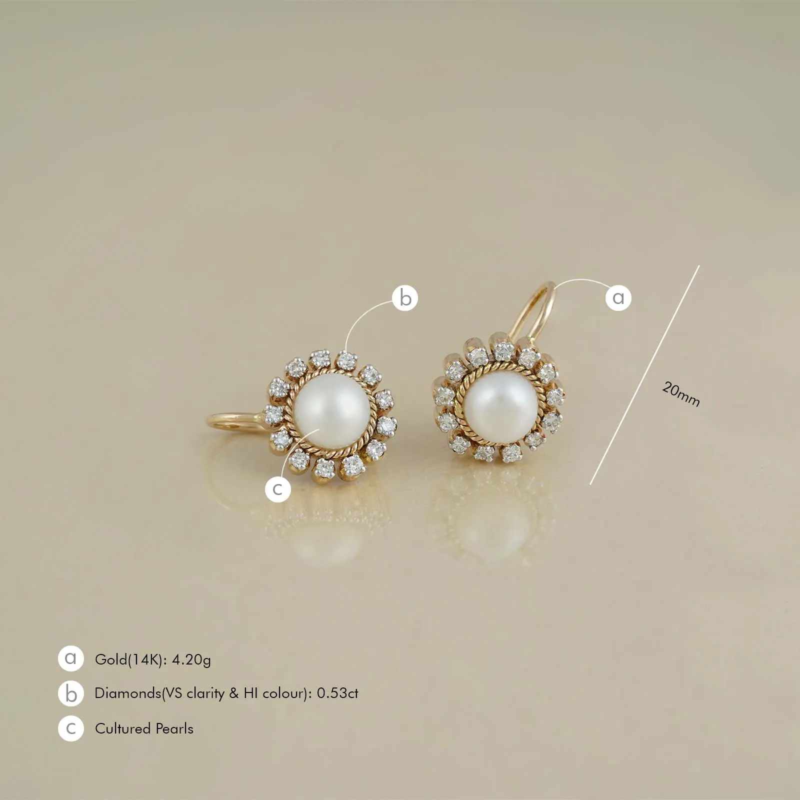 Zoe Snow Earrings